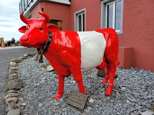 Restaurant Felsenegg 2