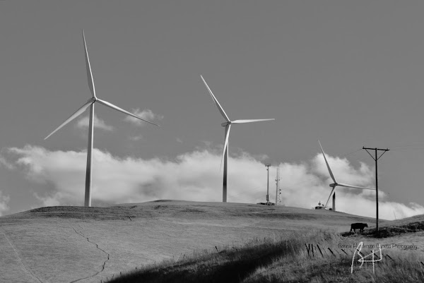 Altamont Pass 5