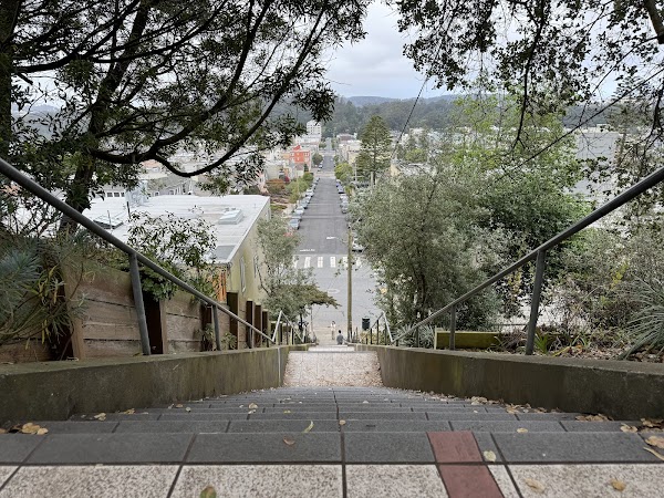 Hidden Garden Steps 4