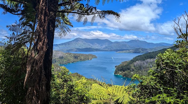 Queen Charlotte Track