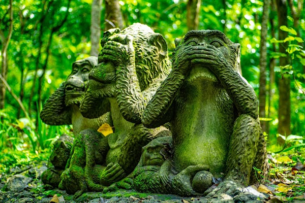 Sacred Monkey Forest Sanctuary 6