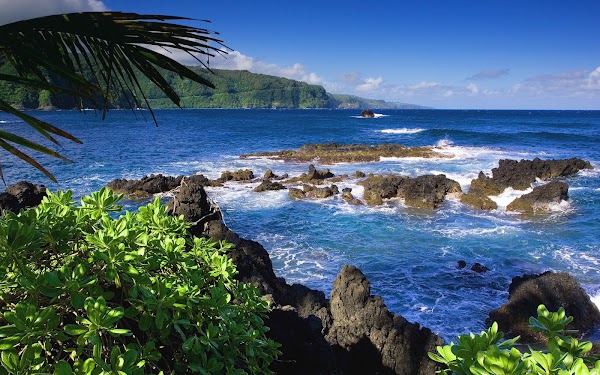 West Bali National Park