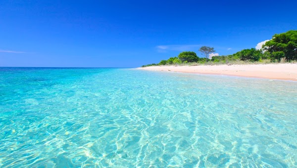 West Bali National Park 4