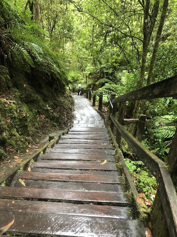 Erskine Falls 3
