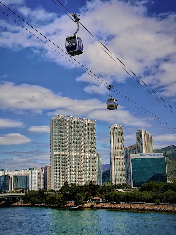 HKIA Cherry Blossom Garden 4
