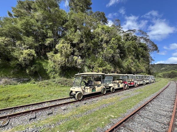 Forgotten World Adventures 4