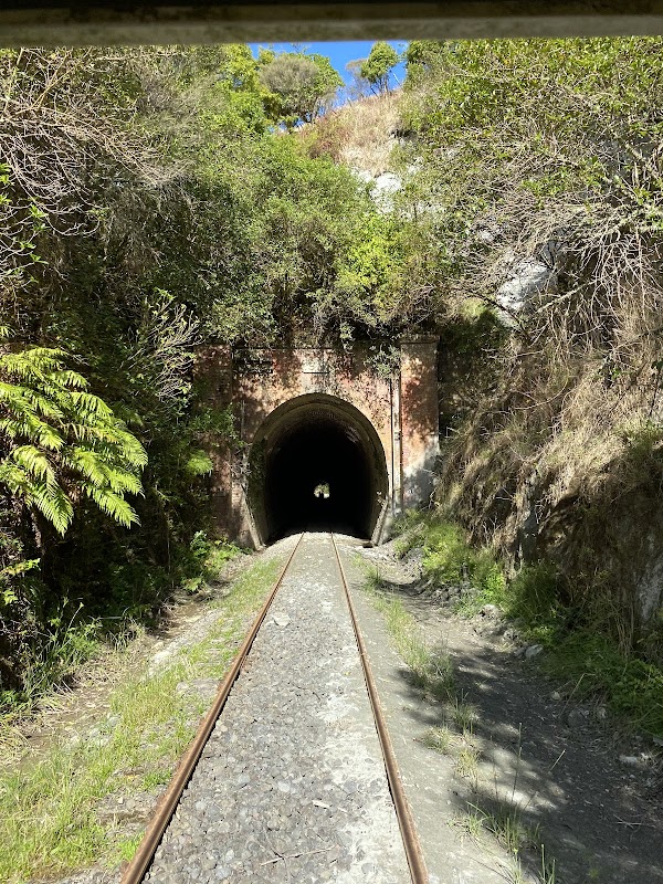 Forgotten World Adventures 3