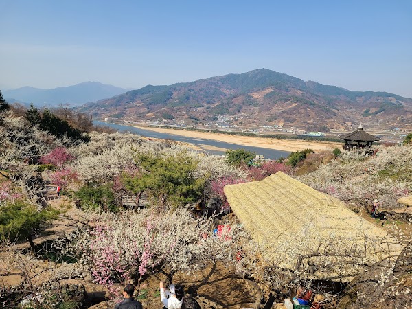 Gwangyang Maehwa Village