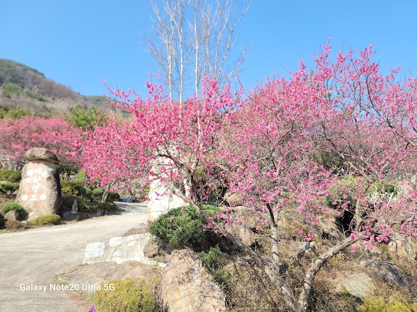 Gwangyang Maehwa Village 2