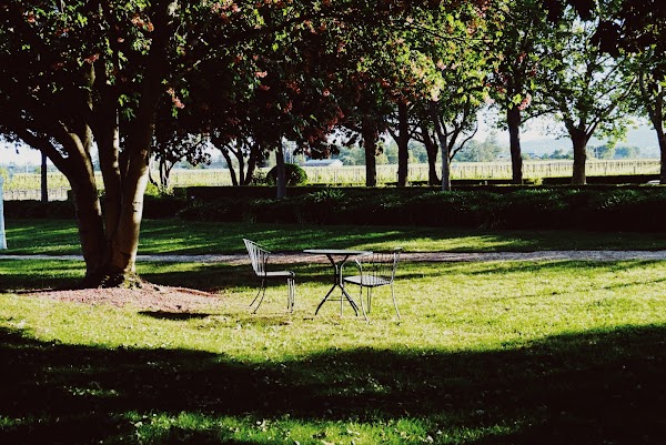 Monticello Napa Valley 1