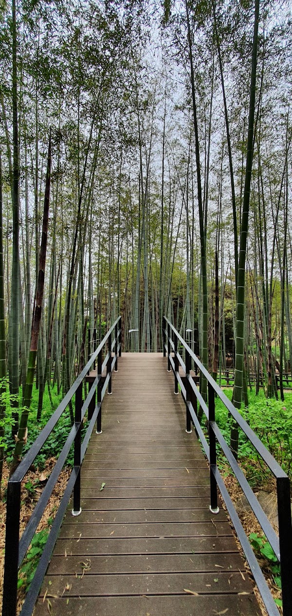 Korea Expressway Corporation Arboretum (Jeonju Arboretum ) 4