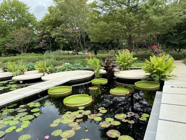 Korea Expressway Corporation Arboretum (Jeonju Arboretum ) 3