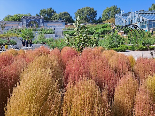 Korea Expressway Corporation Arboretum (Jeonju Arboretum ) 2