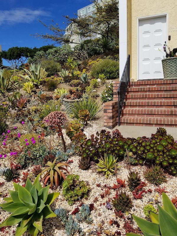 16th Avenue Tiled Steps 4
