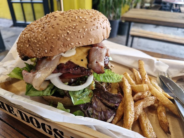 The Dog's Bollocks at YARD 3