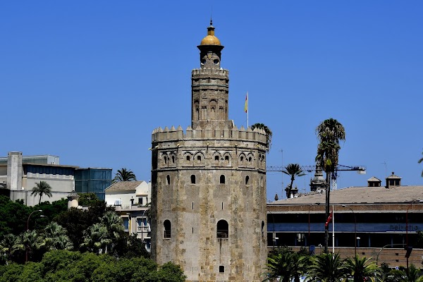 Torre del Oro 6