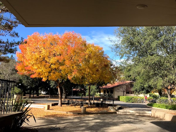 Tresidder Memorial Union