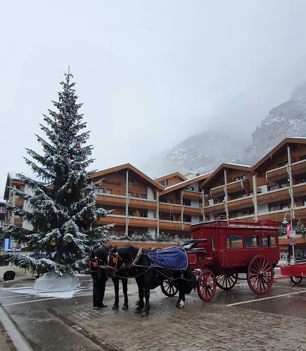 Gornergrat Railway 2