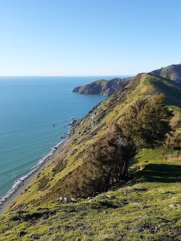 Cable Bay Walkway