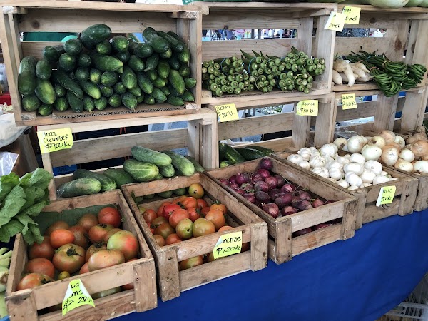 Salcedo Weekend Market 2