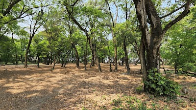 Kathmandu's Sacred Path: A Journey of Spiritual Discovery 3