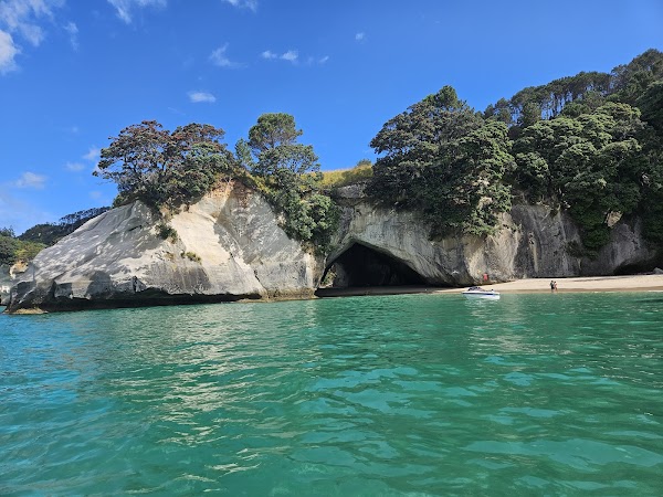 Te Whanganui-A-Hei (Cathedral Cove) Marine Reserve 5