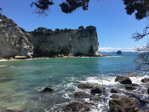 Te Whanganui-A-Hei (Cathedral Cove) Marine Reserve 4