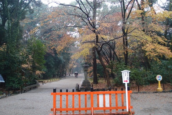 Tadasu-no-Mori Forest 2