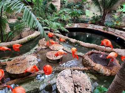 The Dallas World Aquarium 2