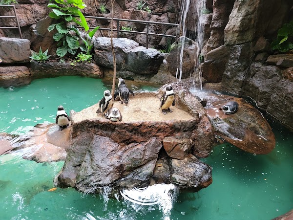 The Dallas World Aquarium 5