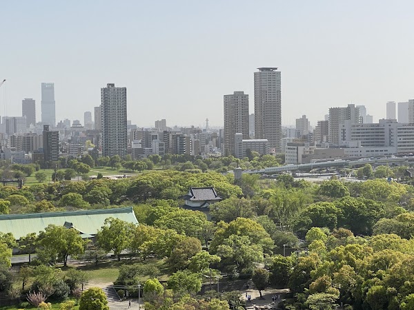 Osaka's Cultural Delights: A Culinary and Historical Adventure 3