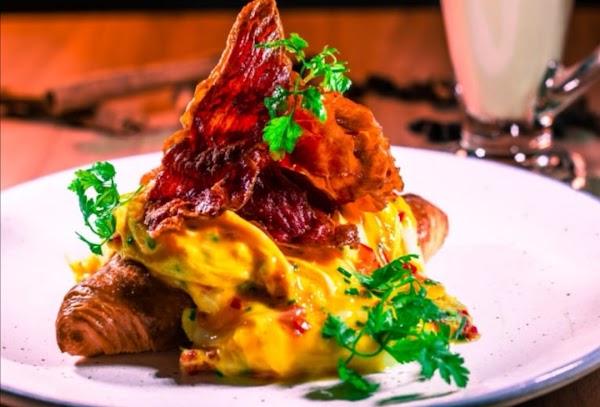 Lazy Lizard Flora Vista 5