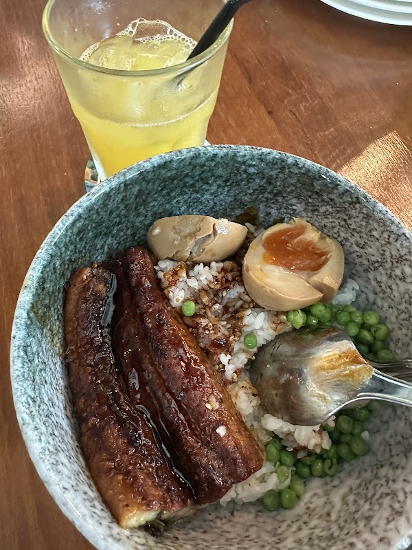 Lazy Lizard Flora Vista 4