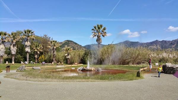 Old Faithful Geyser of California 4