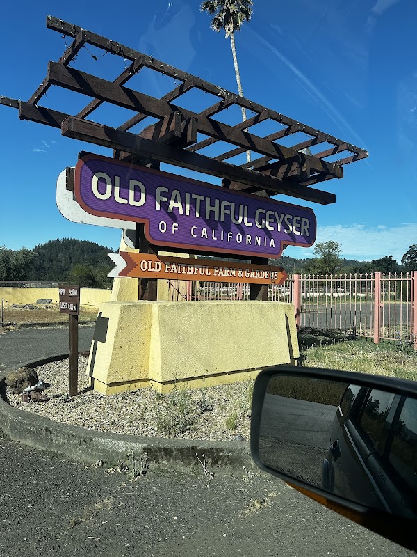 Old Faithful Geyser of California 3