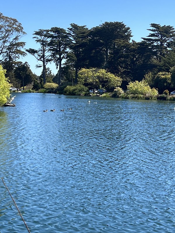 Golden Gate Park Delights: A Family Adventure in Nature's Embrace 3