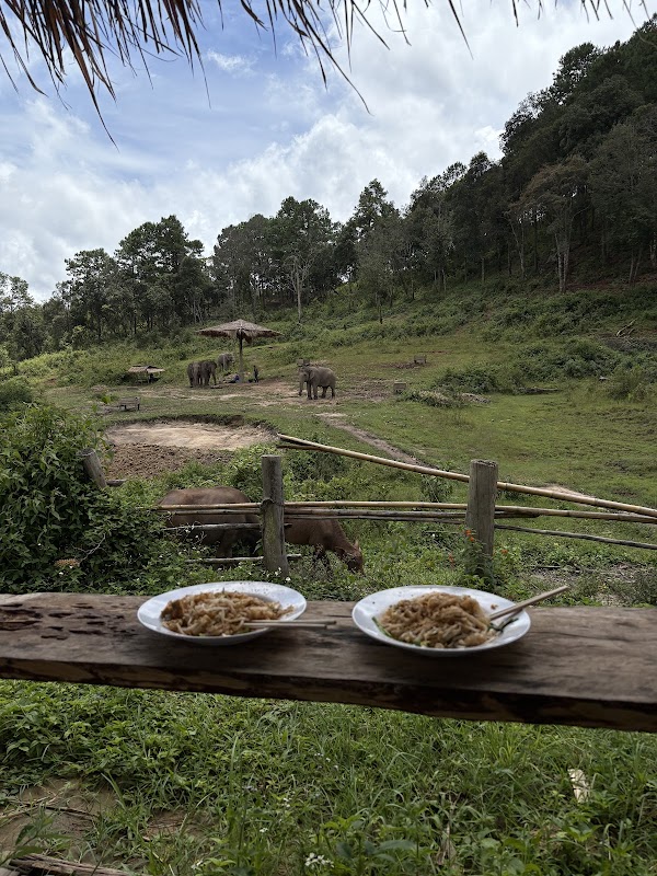 Ethical elephant sanctuary chiangmai by Big Boy 5