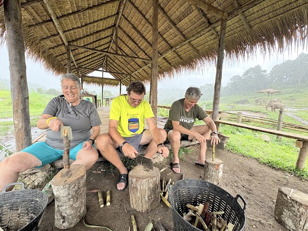 Ethical elephant sanctuary chiangmai by Big Boy 2