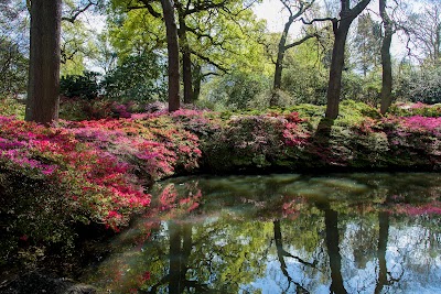 Richmond Park