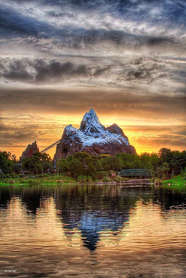 Disney's Animal Kingdom Theme Park 5