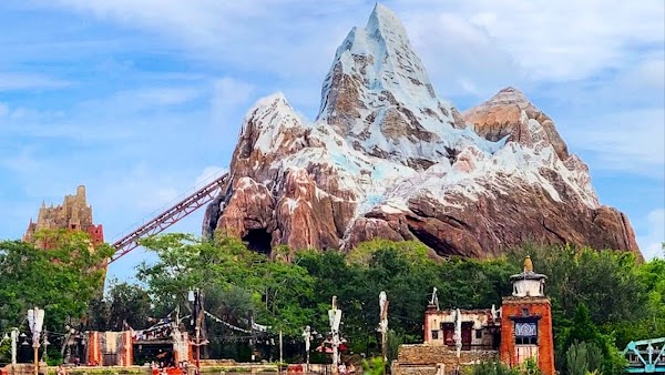 Disney's Animal Kingdom Theme Park 4