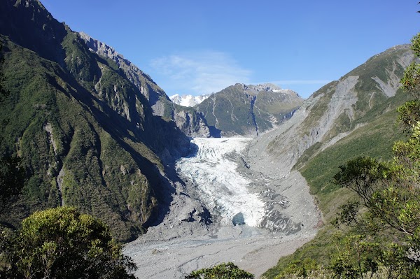 Fox Glacier