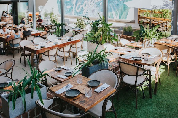 The Collective Palm Beach 1