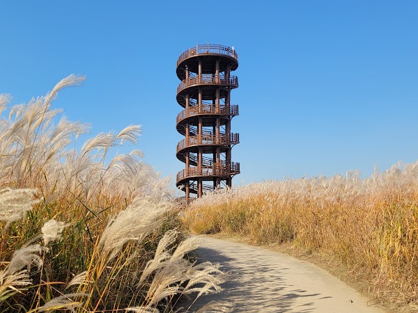 Gaetgol Ecological Park 1