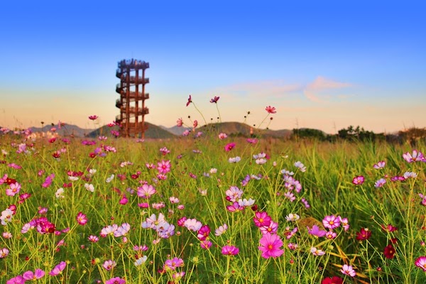 Gaetgol Ecological Park 3