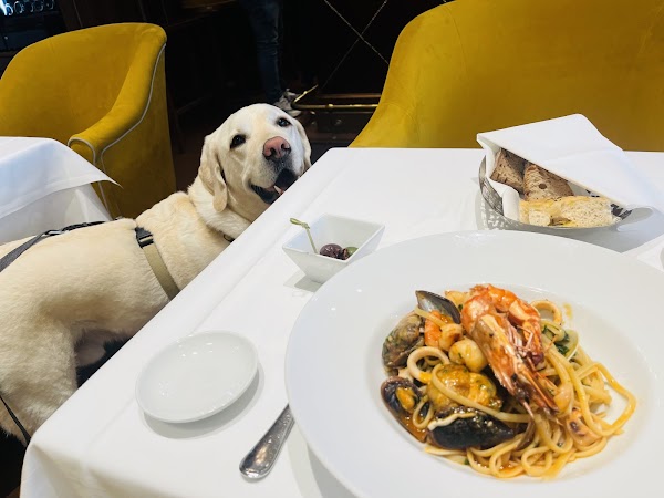 Cantinetta Antinori Vienna 4