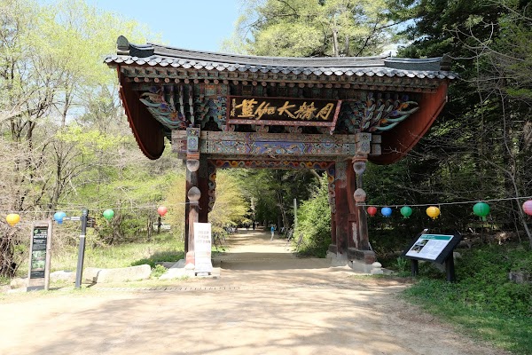 Woljeongsa Temple & Fir Tree Forest