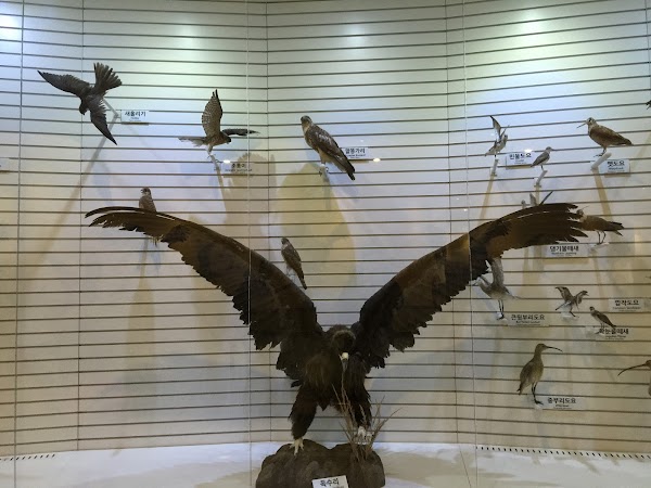 서산버드랜드 3