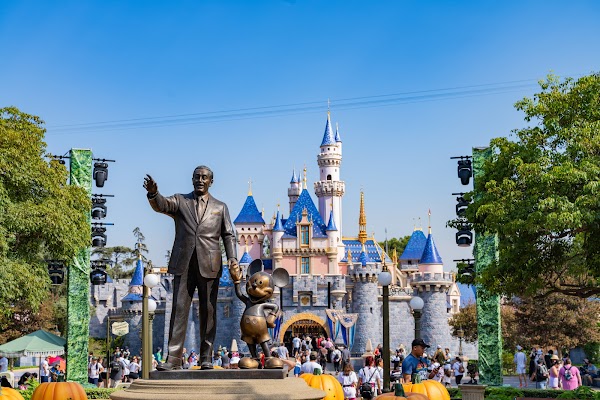 Disneyland Park 6