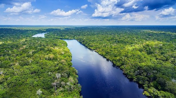 Amazon River
